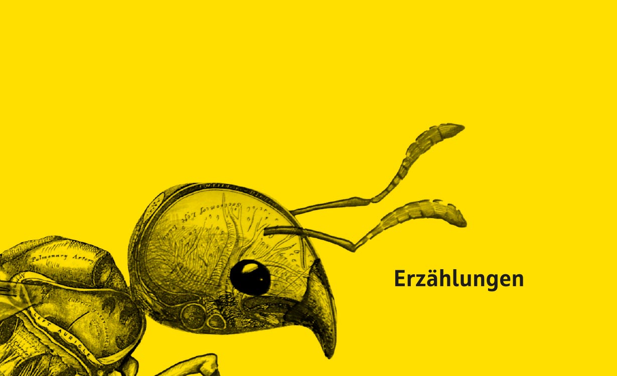 Auschnitt von einer Illustration einer Ameise