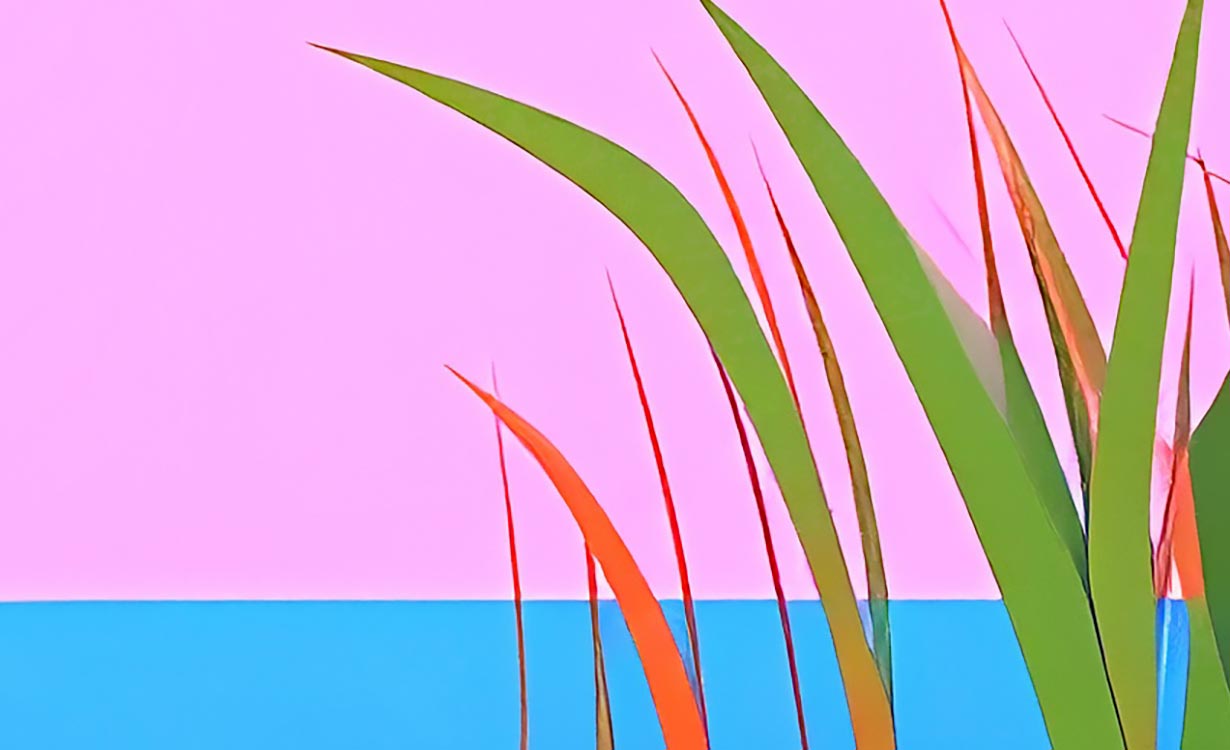 Illustration von Pflanzen am Wasser